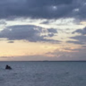 Meet your Posher, Bethynel